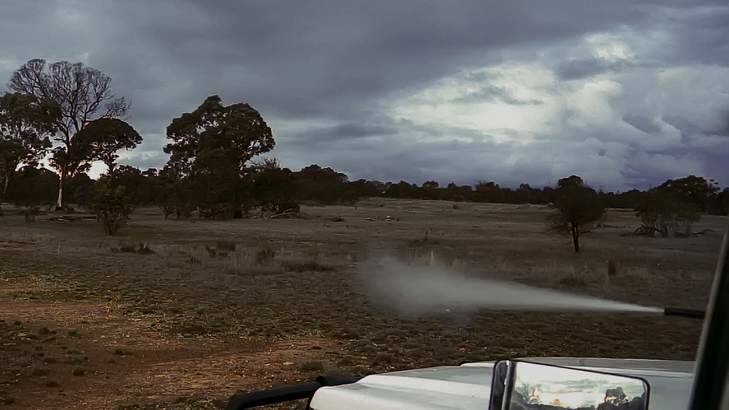 Hunter ... A professional shooter fires from his vehicle at Mulligan's Flat Nature Reserve as part of the ACT Government's kangaroo cull. Photo: Supplied