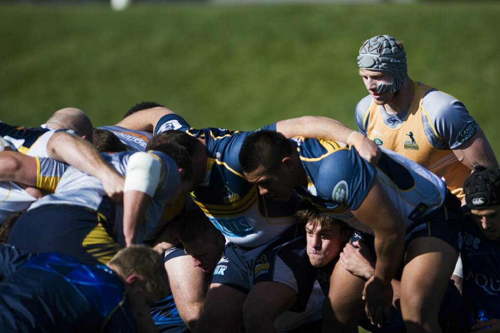 Brumbies flanker David Pocock is trialling new headgear at training. Photo: Rohan Thomson