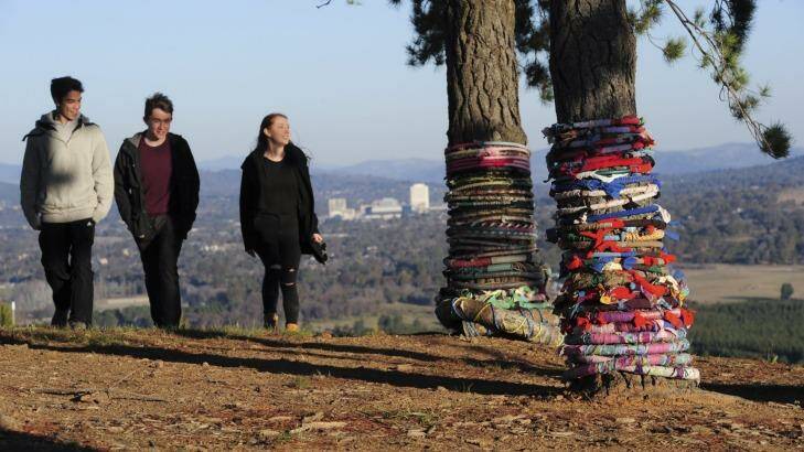 Visitors, from left, Josh Bernabe, of Hughes, Leo Coleman, of O'Connor, and Alicia  Roehlinger, of Saarbrucken, Germany, wander through the 'Rainbow Serpent Wrap' installation at the National Arboretum in Canberra. Photo: Graham Tidy Photo: Graham Tidy