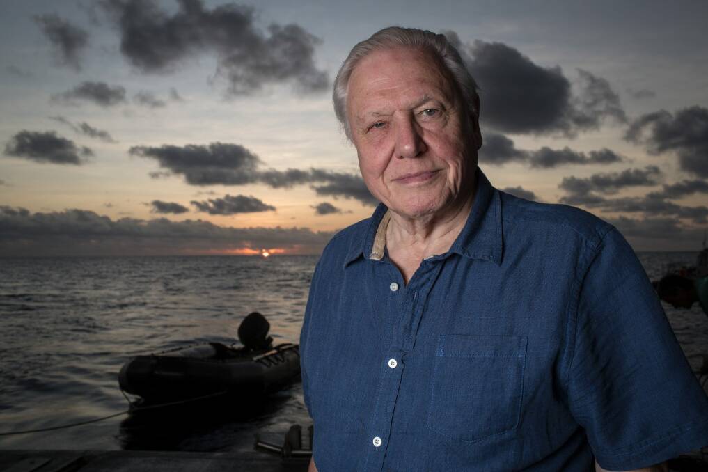 Sir David Attenborough  embarked on the expedition to the southern hinterlands of the Sepik River in Papua New Guinea in 1971.