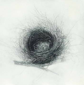 Peter Rohen's Shelter, etching: varied edition of 3 intaglio prints. Photo: Supplied
