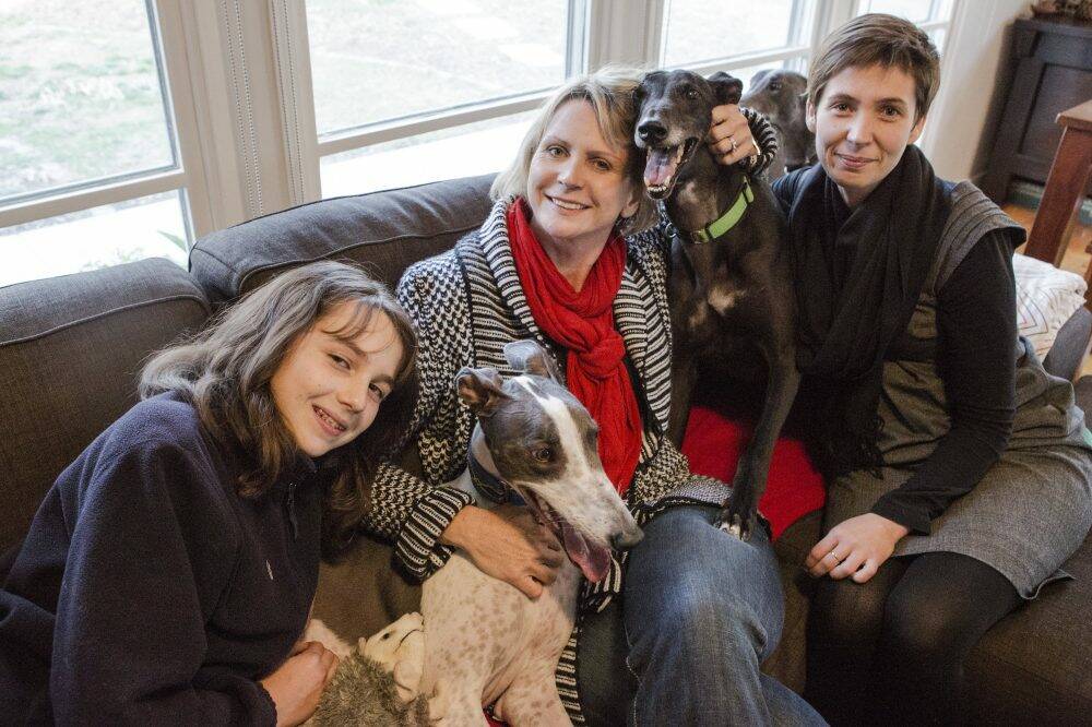 Companions: (From left) Maya Gibbon with her greyhound Opie, Dee Gibbon, and Sid with owner Cindy Daley. Photo: Jamila Toderas