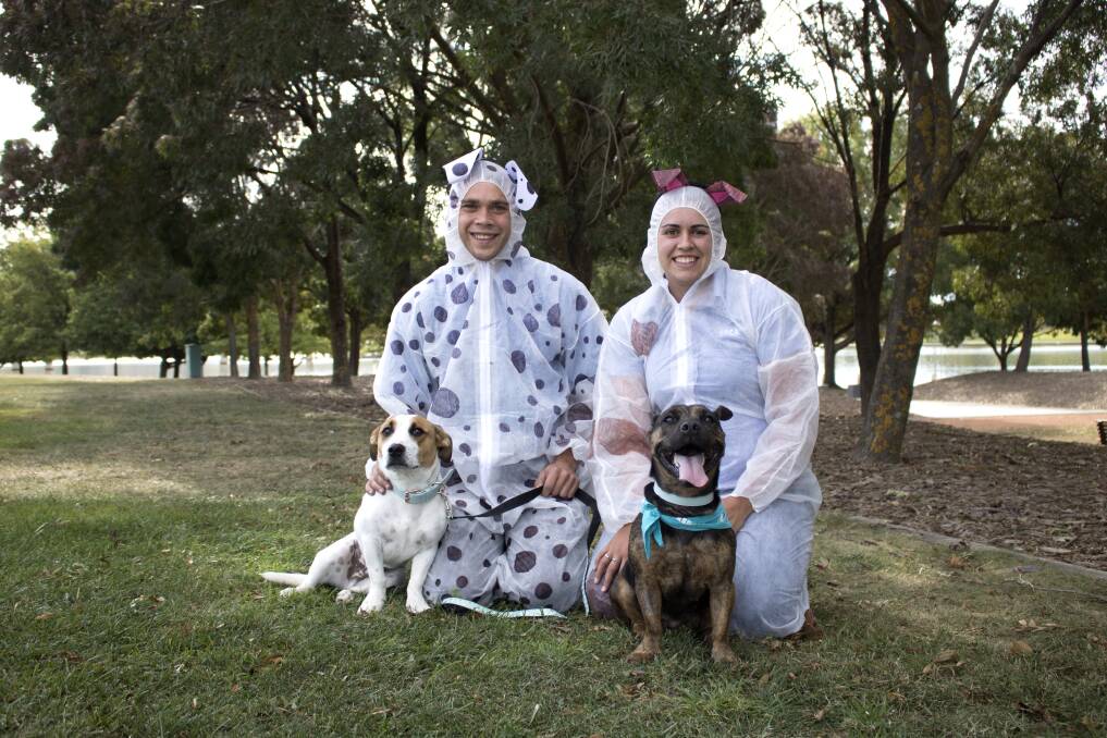 RSPCA ACT is trying to set the Guinness World Record for having the largest gathering of people dressed as dogs. Photo: Supplied