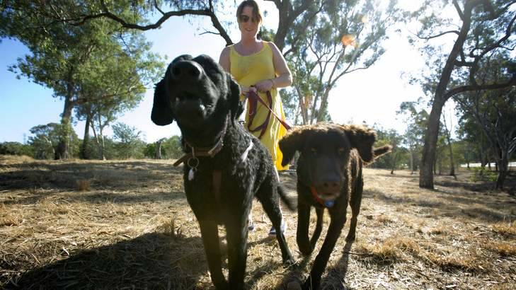 Andrea Maher is looking forward to having a dog park in O'Connor, where she can let her dogs Billie and Banjo off the lead. Photo: Elesa Kurtz