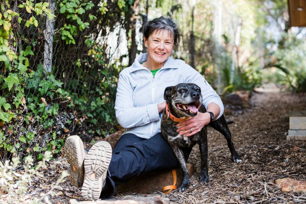 Peggy Douglass has created a product that safely removes ticks. Penny with her son's dog Chief.  Photo: Jamila Toderas