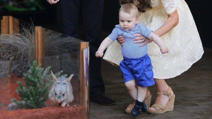 A new magazine feature suggests Prince George may have started walking in Australia. Photo: Kate Geraghty
