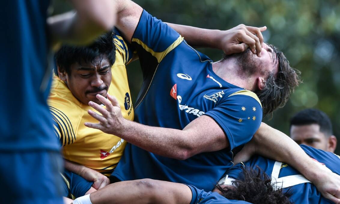 Signalling intentions: Forwards Will Skelton and Kane Douglas in the heat of battle at Wallabies training. Photo: Brendan Esposito
