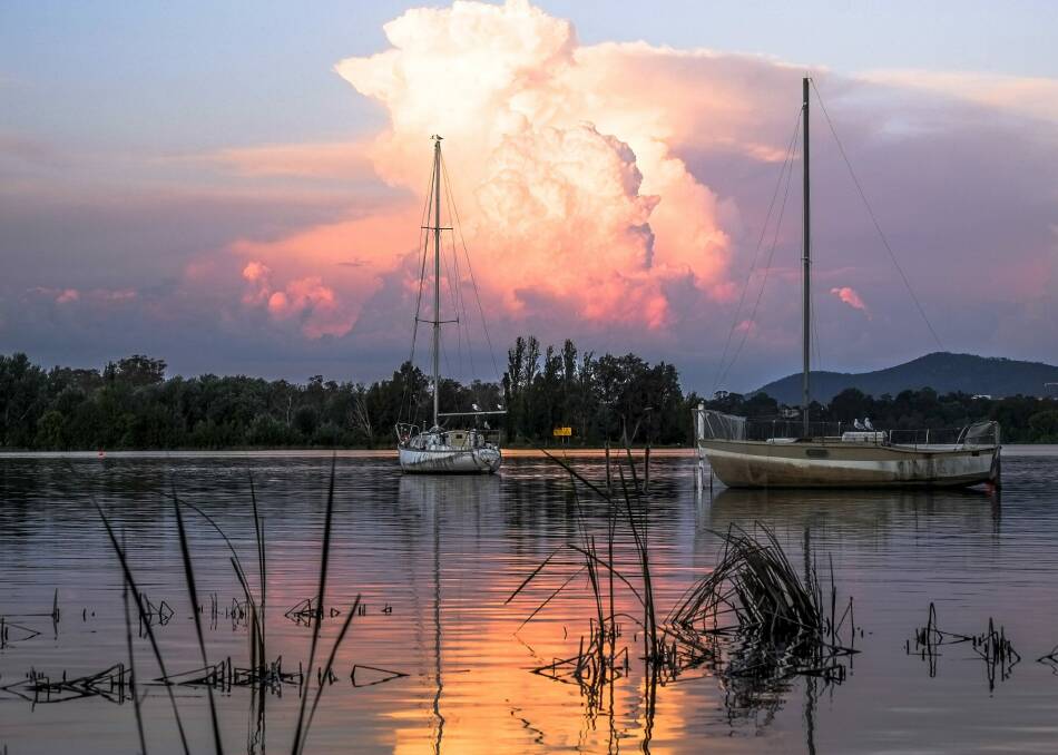 A pink cloud over Lake Burley Griffin. Photo: Carol Elvin