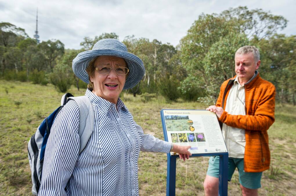 Black Mountain Member Linda Beveridge and guide Michael Doherty elaborates on the new descriptions created for the woodland walk.  Photo: Dion Georgopoulos