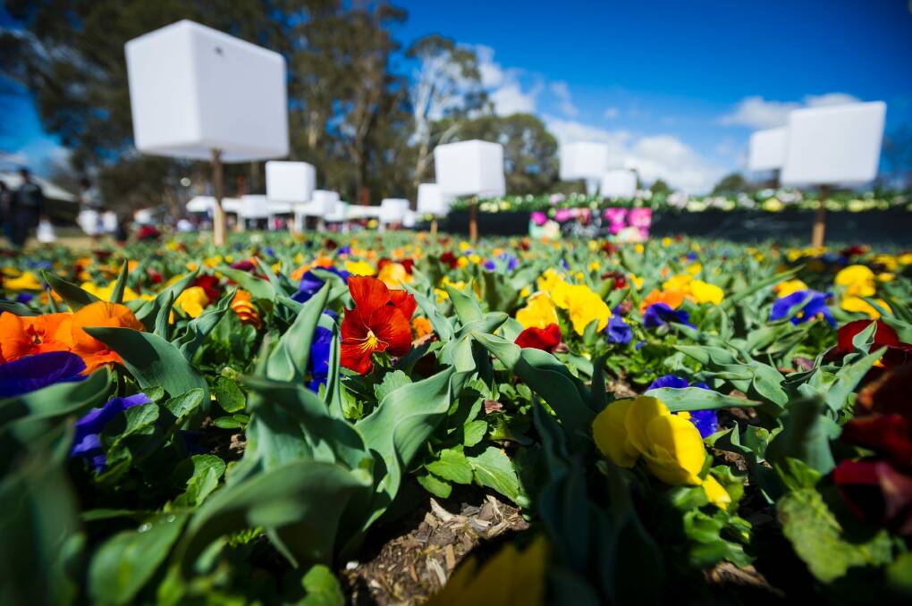 Floriade ran over budget by $1.2 million in 2017.  Photo: Dion Georgopoulos