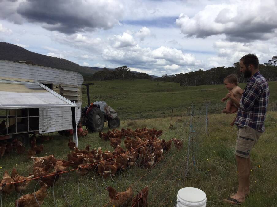 Brightside Produce owner Michael Kobier with Tilly's chooks, which will lay eggs sold to Canberra businesses to support Mr Kobier's 11-year-old niece Matilda who suffered viral encephalitis. Photo: supplied