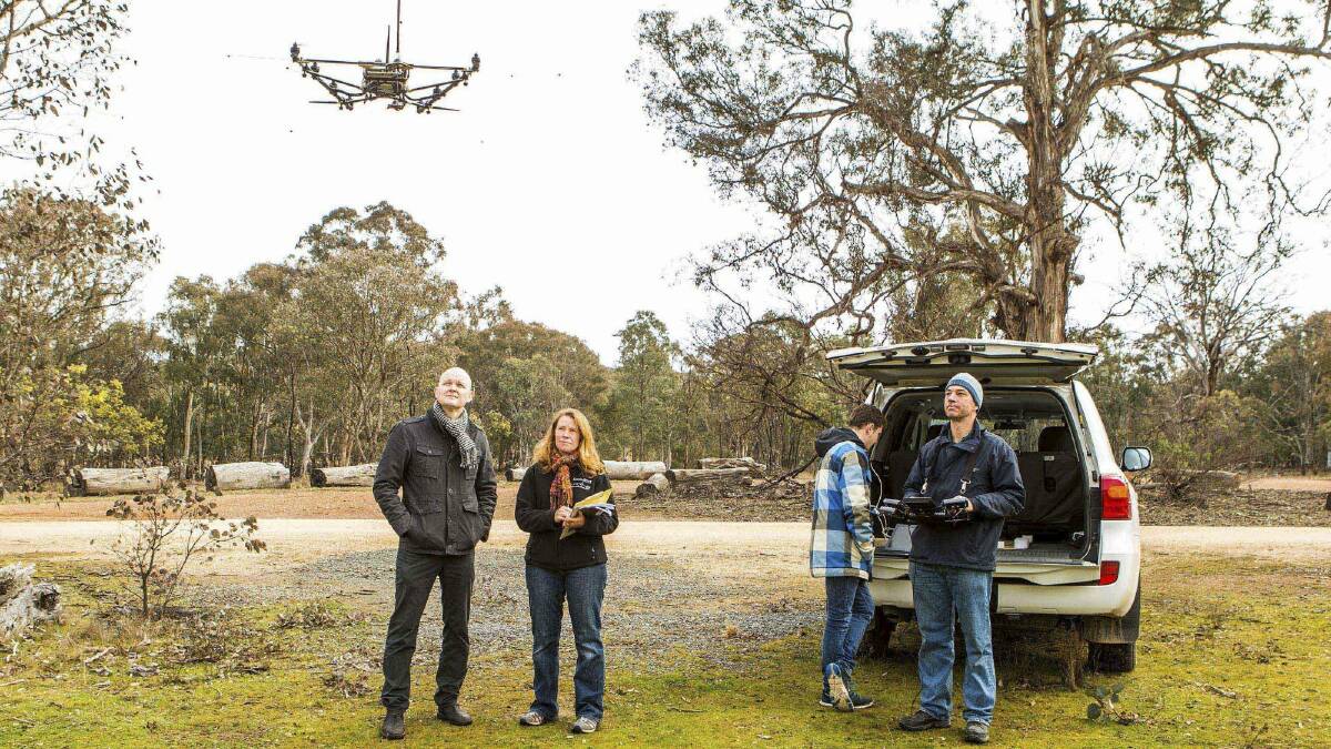 Dr Adrian Manning, Dr Debra Saunders, of the ANU, Oliver Cliff (in the blue chequered top) and Jeremy Randle (piloting the drone), from the University of Sydney.
 Photo: Supplied