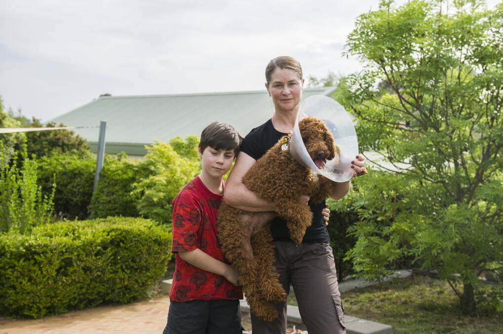 Georgia Richardson with her son Owen, 11, and dog Coco, which was attacked by an unaccompanied dog this week. Photo: Dion Georgopoulos