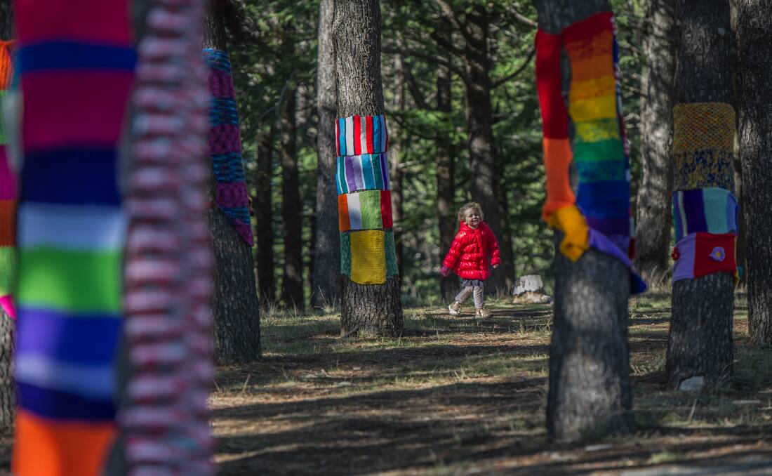 Warm up this winter with the Warm Trees knitting installation at the National Arboretum.  Photo: Karleen Minney
