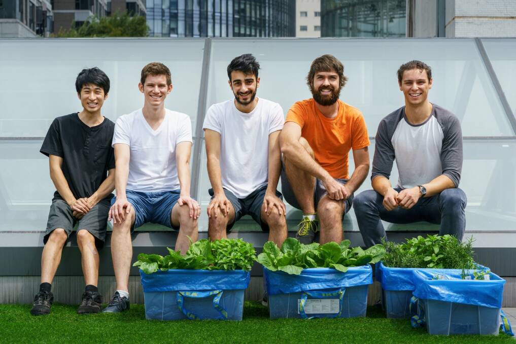 Canberra startup entrepreneurs Ken Loh, Luke Worth, Arash Joobandi, Tom Watkins and James Deamer are in Shenzhen developing their concept for an automated gardening system. Photo: Sergey Bogomyako