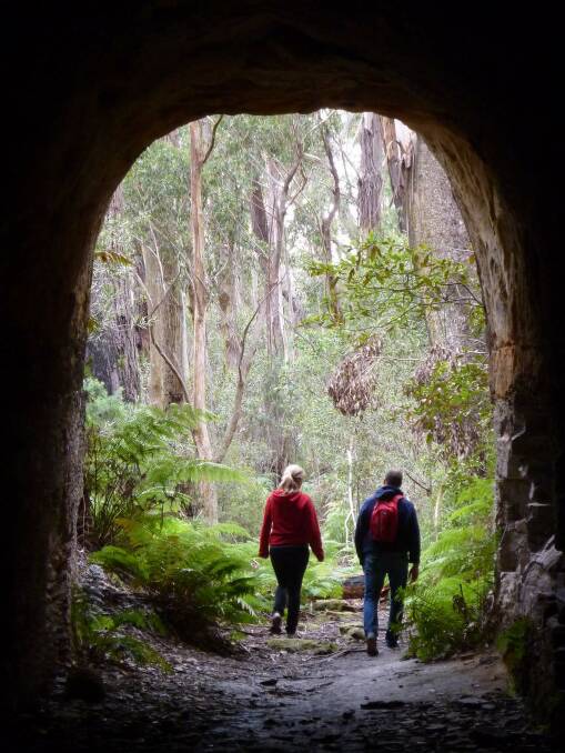 This tunnel on the Box Vale walking track will be a hit with the kids.  Photo: Tim the Yowie Man