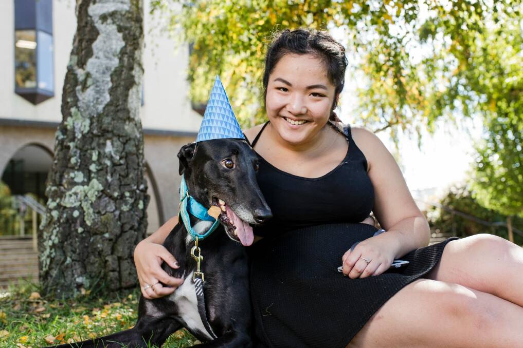 Event organiser and ANU student Lucy Yang with her greyhound Bruno. Photo: Jamila Toderas