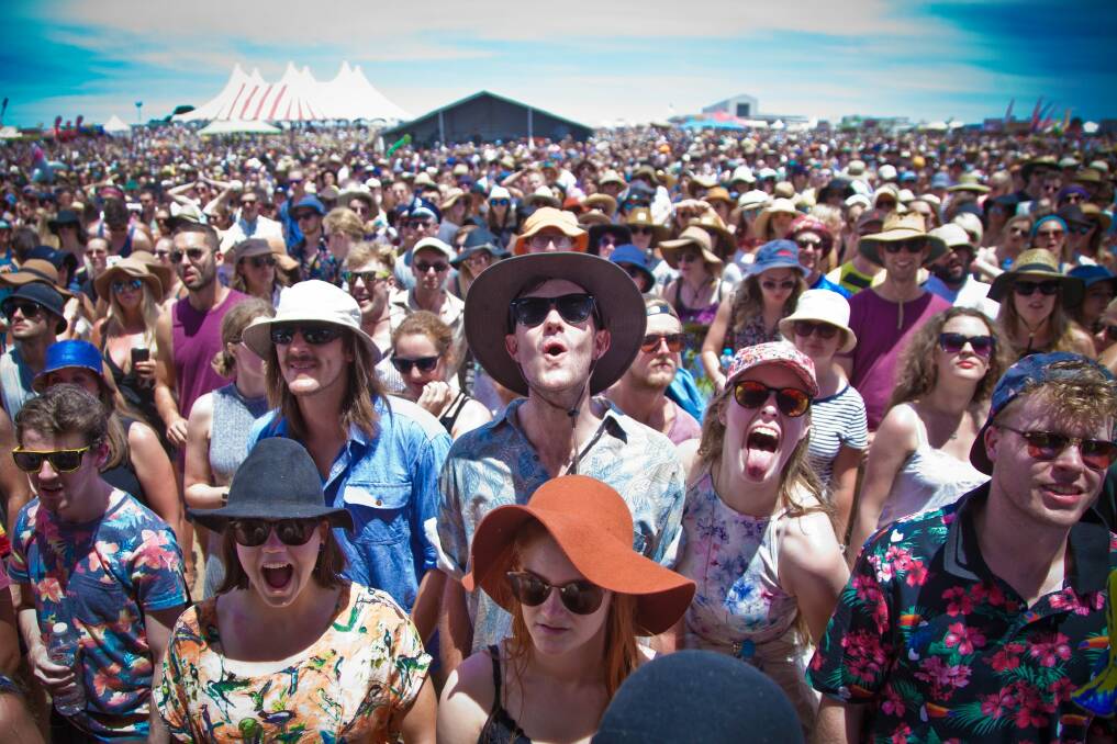 Music-lovers out at Falls Festival last year. The AMA has urged all festival-goers to look after themselves, and their friends, this year. Photo: a