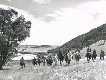 Horsing around: A large group of children from Acton riding school circa 1950  - you can make out Black Mountain on the right and the patch of Himalayan Cedars at the present National Arboretum back centre. Photo: W. Pedersen and National Archives of Australia)