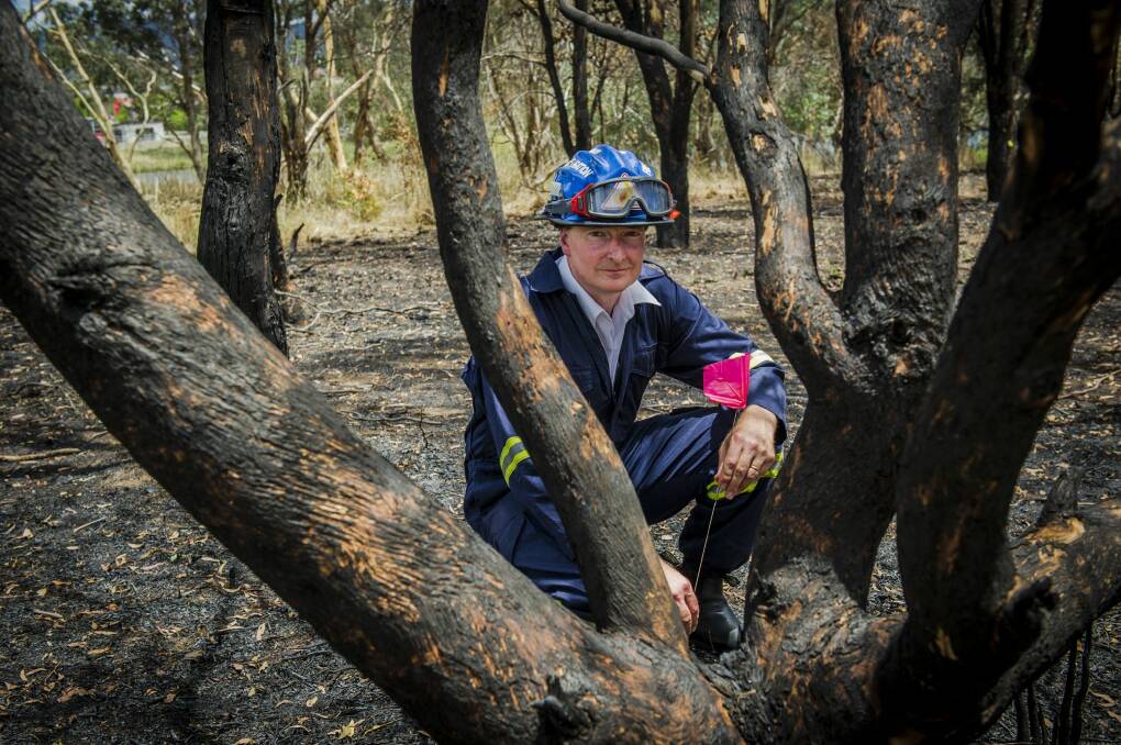 ACT Rural Fire Service deputy chief officer Richard Woods at the scene of a grass fire in Kambah. Photo: Jamila Toderas