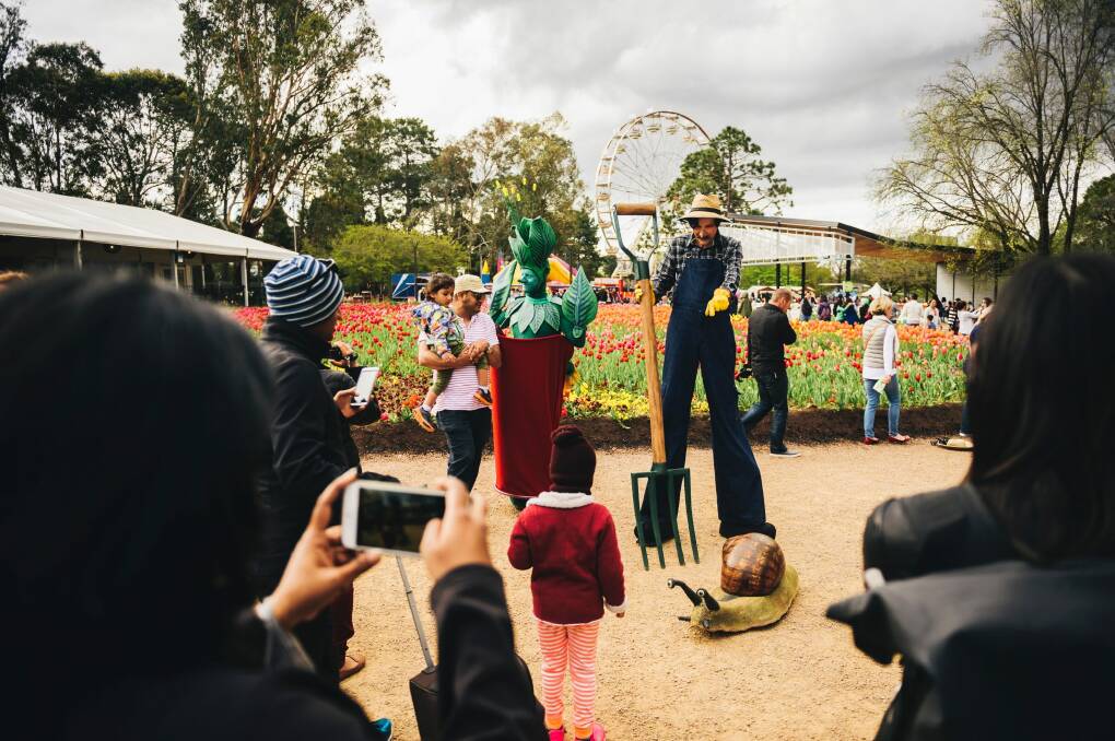 Canberra based entertainers Fool Factory among the Floriade crowds on Saturday afternoon. Photo: Rohan Thomson