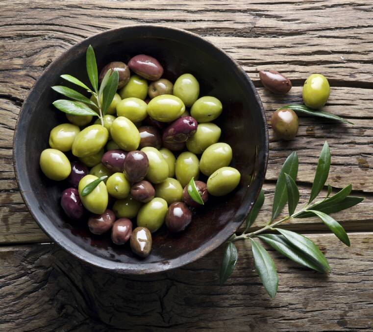 Fresh olives can be found on heritage trees around the ACT. Photo: Valentyn Volkov