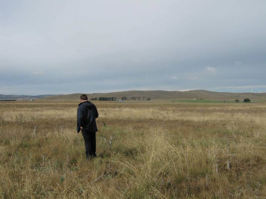 An Infigen Energy development manager inspects the Capital II wind farm site. Photo: Photo: supplied
