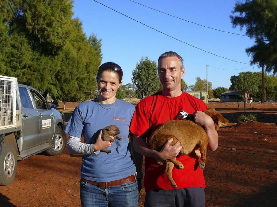 Vets Alison Taylor and Michael Archinal work in remote Australian communities. Photo: Supplied