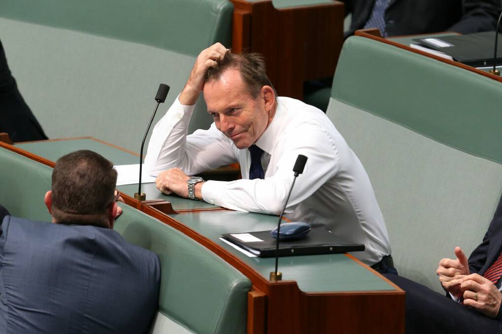 Tony Abbott has asked just one question in the current Parliament. Photo: Andrew Meares