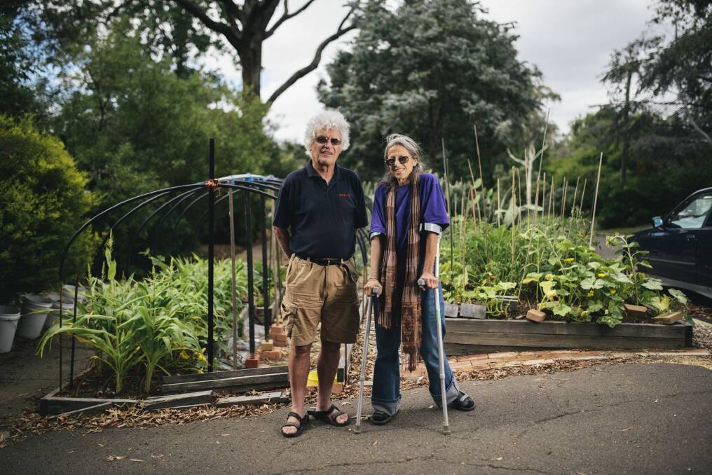 Bram van Oosterhout and Judy Bamberger with their nature strip garden in O'Connor, including the hoop house which they plan to cover in "repurposed" plastic for tomatoes in winter. Photo: Rohan Thomson