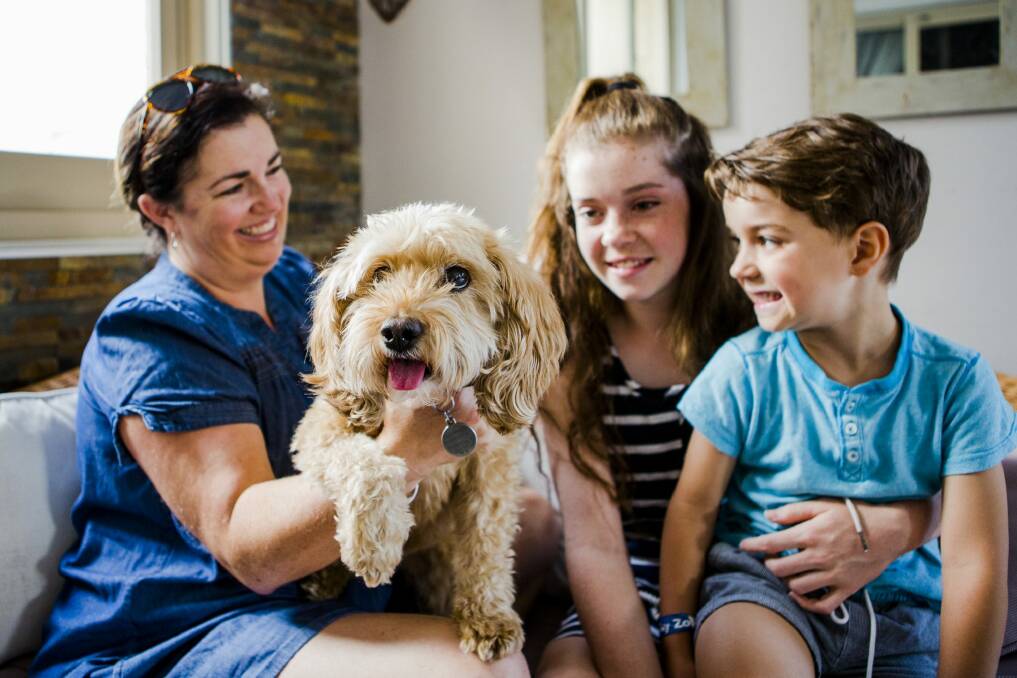 Roxy the cavoodle, whose habit of eating her family's underwear led to trouble last year, with Rachel Aitchison and her children, Ellen 14, and Isaac 4. Photo: Jamila Toderas