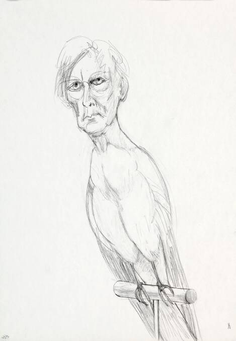 Jan Brown, <i>Self-portrait as a bird</i>, 1997, CMAG, gift of the artist 2008 in <i>Aviary</i> . Photo: Supplied