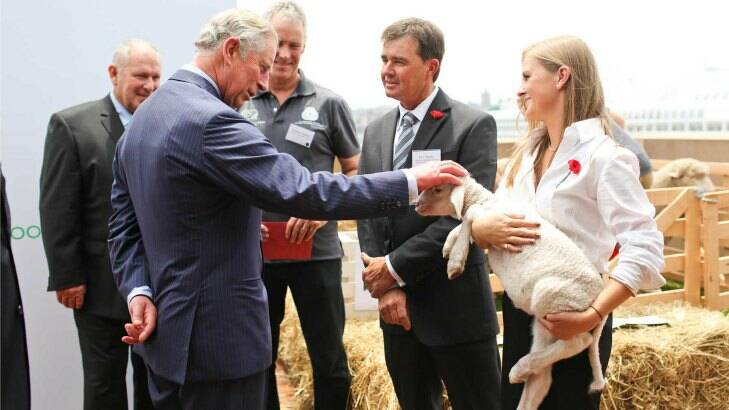 Prince Charles wore a double breasted Australian Merino suit to meet the friends of the Australian Wool Innovation. Photo: Lara Hotz