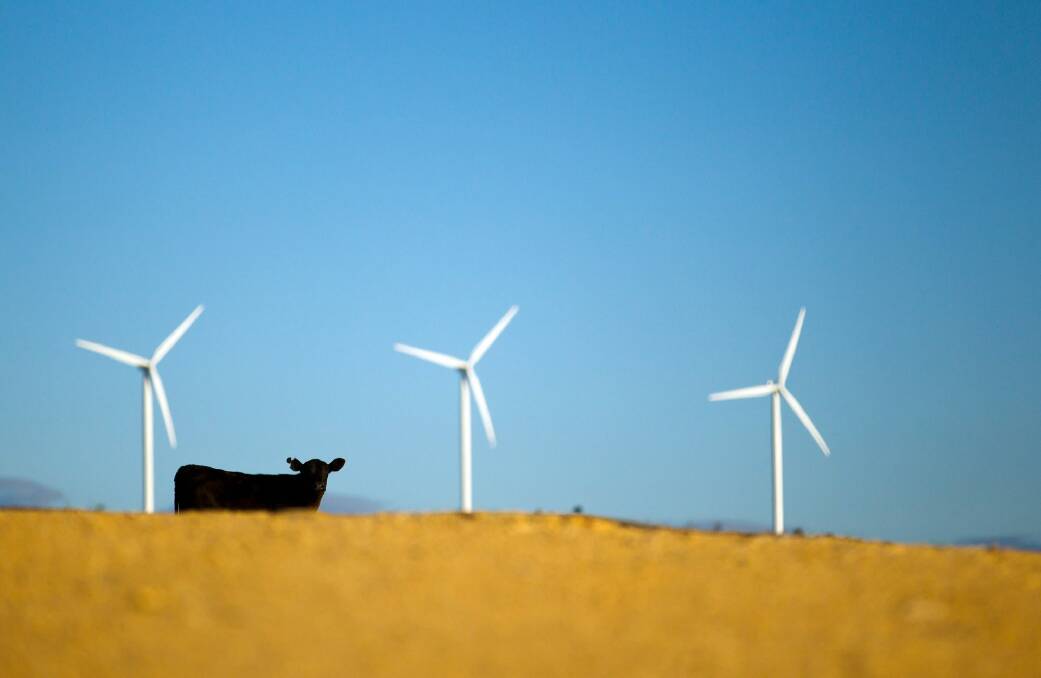 Wind turbines are key parts of the renewable  grid, which acts like a giant battery. Photo: Ian Waldie