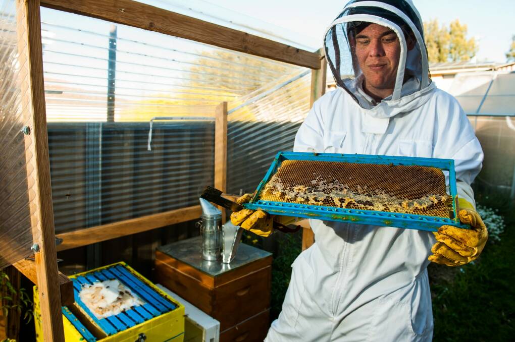 Pastry chef Paul Phillips keeps bees despite being severely allergic to them. Photo: Elesa Kurtz
