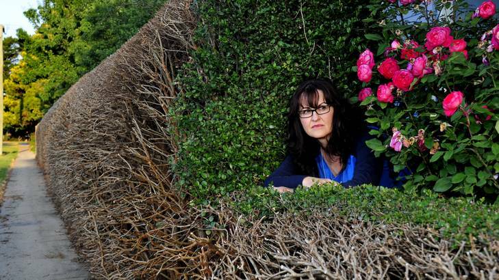 Kate Gumley's husband John cut their hedge back two weeks ago because it was invading the footpath. Photo: Melissa Adams