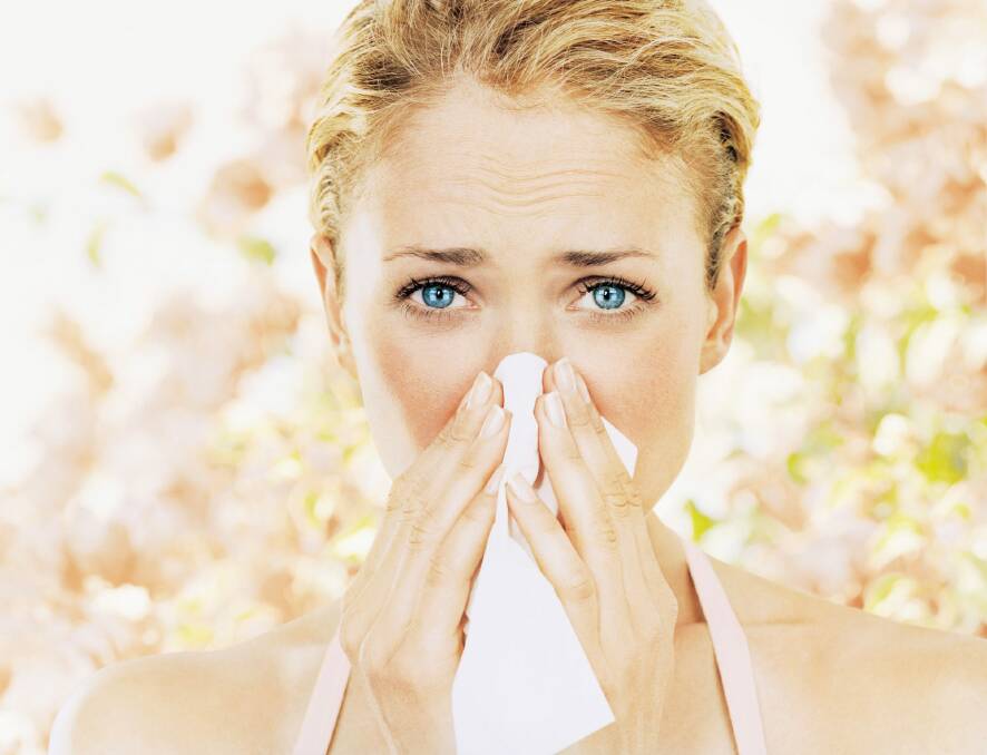 A runny nose seems to occur in order to maintain a certain balance in the humidity and temperature of the mucous layer lining your nose. Photo: Pando Hall