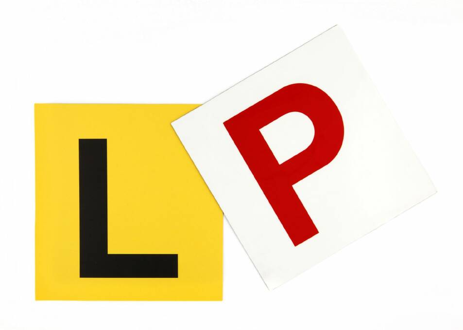 Learner & Probationary Plates on White Background GENERIC P PROVISIONAL PLATE Photo: Jamesbowyer