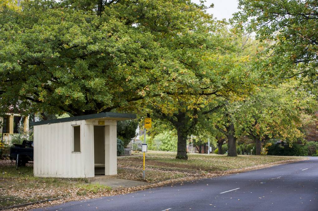 One of the old bus stops in Ainslie. There are 12 of the shelters in the inner suburbs.  Photo: Rohan Thomson