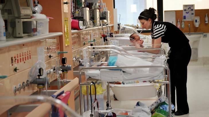 A physio nurse tends to one of the newborn babies. Photo: Colleen Petch