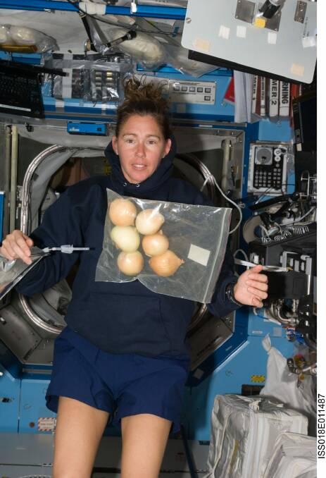 Former NASA astronaut Dr Sandra Magnus pictured with a bag of fresh onions floating freely in the Destiny laboratory of the International Space Station in 2008. Photo: NASA