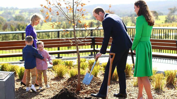 Catherine, Duchess of Cambridge and Prince William, Duke of Cambridge take part a tree planting as they visit the National Arboretum. Photo: Mark Nolan
