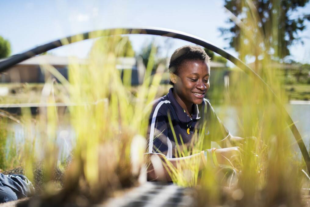 Test: Student Fatima Sesay helps plant out the mini wetland. Photo: Rohan Thomson