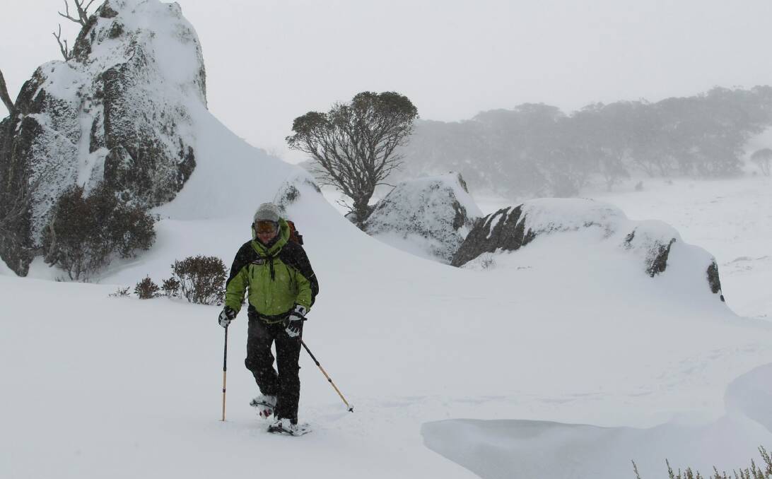 Snowy Mountains backcountry expert Bruce Easton says the Kosciuszko National Park can have up to 2000 visitors a day in peak Christmas or Easter periods.  Photo: Alex Ellinghausen