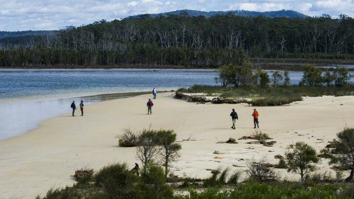South coast conservationists at Lake Meroo near Bawley Point. Photo: Rohan Thomson