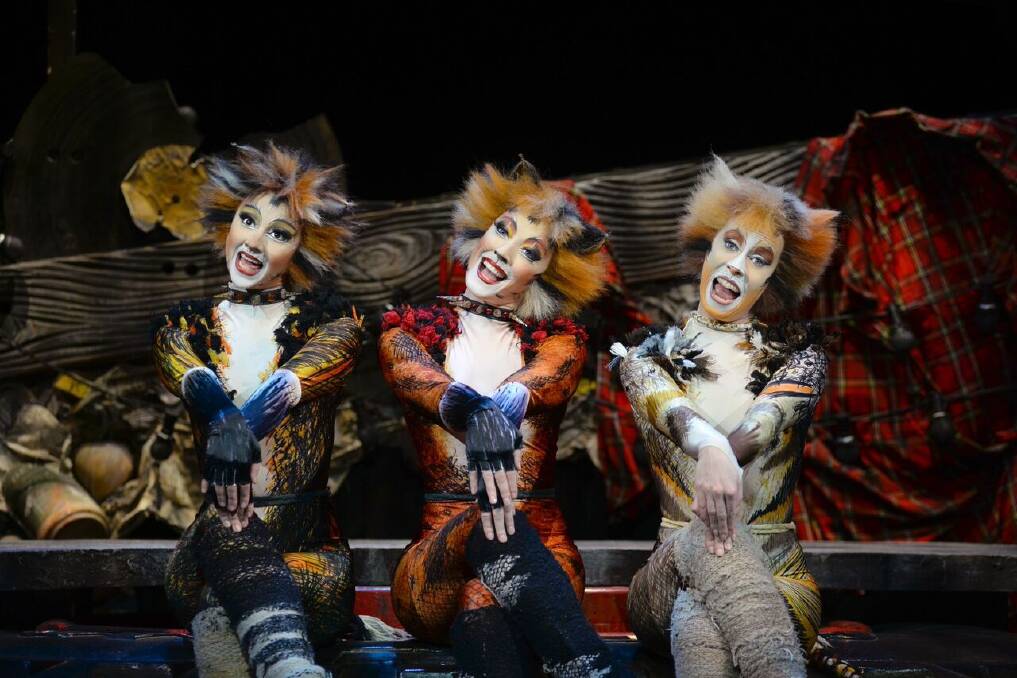 The musical Cats opens at the Capitol Theatre in Sydney on October 30. Photo: AB Publicity