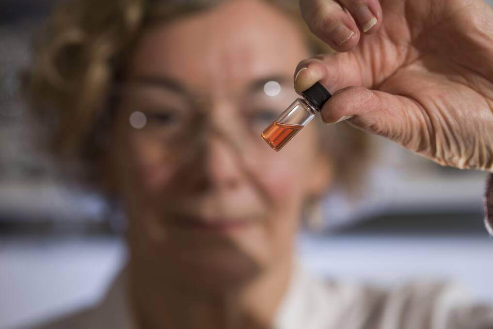 Australian National University biogeochemistry lab manager Janet Hope holds a vial of pink coloured porphyrins representing the oldest intact pigments in the world. Photo: Australian National University