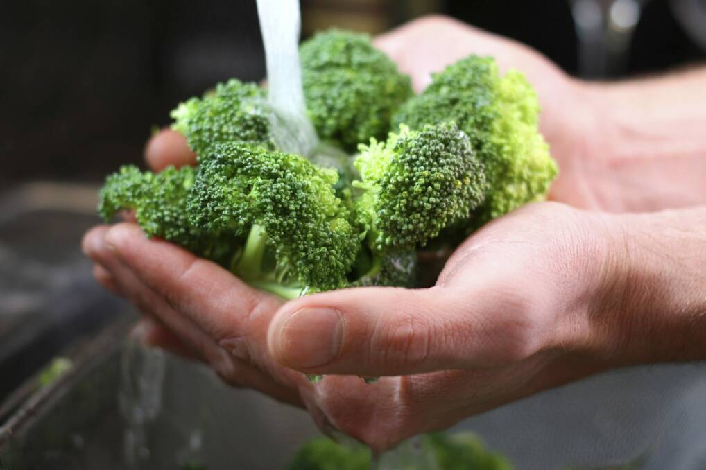 Fresh broccoli.  Photo: Christin Gasner