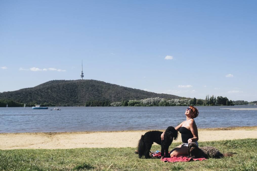Eileen Chappell, from Deakin, with her dogs Mia and Louis by Lake Burley Griffin. Photo: Rohan Thomson