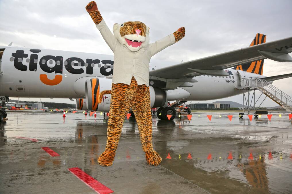The impostor mascot who welcomed the first Tigerair flights from Melbourne to Canberra. Photo: Paul Sadler
